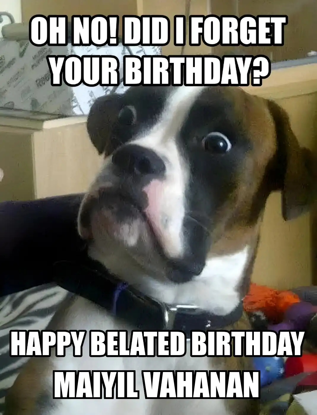Happy Birthday Maiyil vahanan Did I Forget Your Birthday Meme